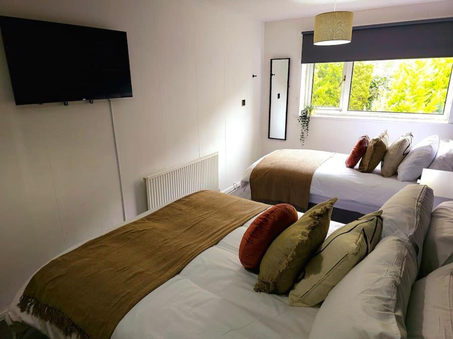Homebird - Buckton House *